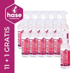 Hase Pakiet Sani Fast płyn do mycia łazienek spray 1L 9677 12 sztuk